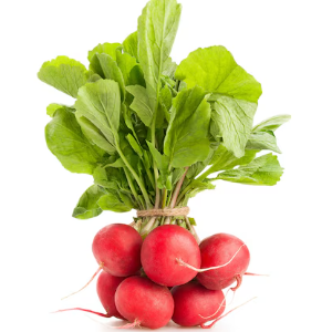 Red Radish (bundle)